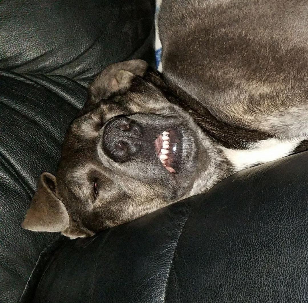 Carly after a hard day looking for gold🤣🤣🤣