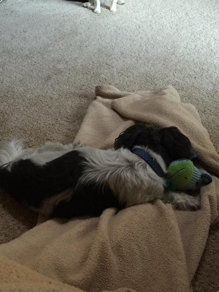 He loves his new toy