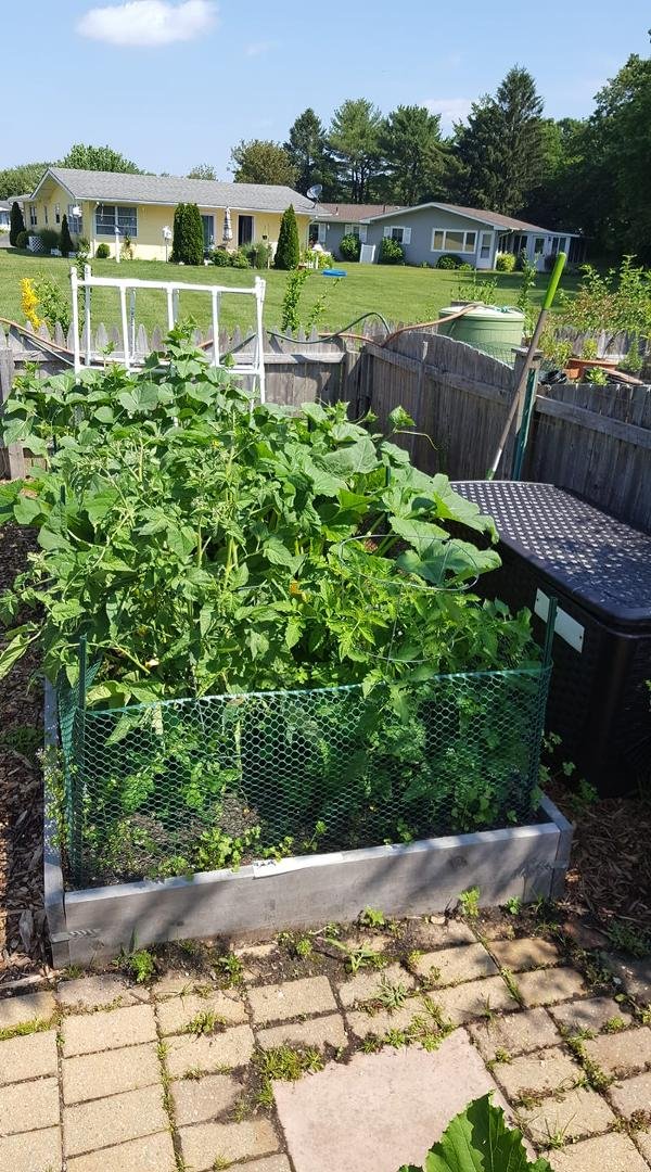 A lot going on in this garden!