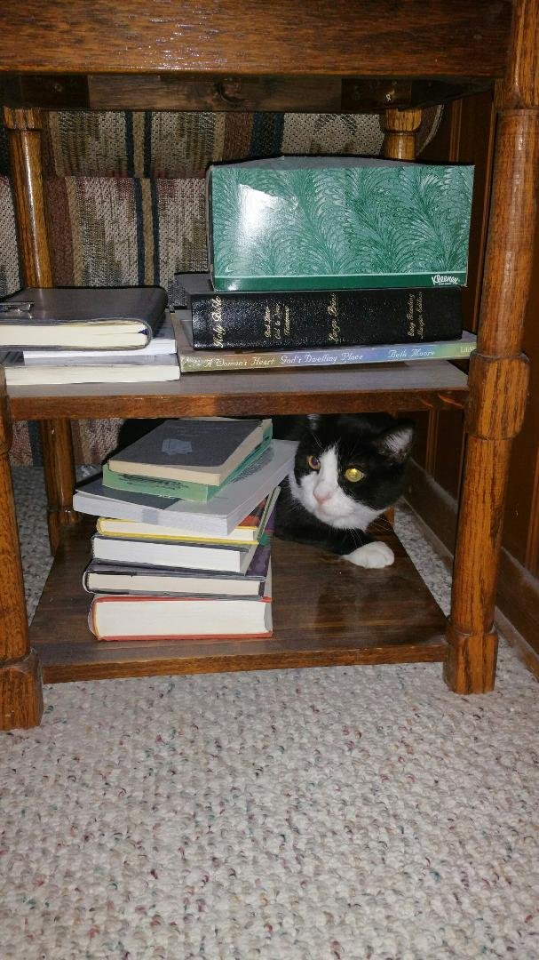 This is Elliot's new hiding place!!