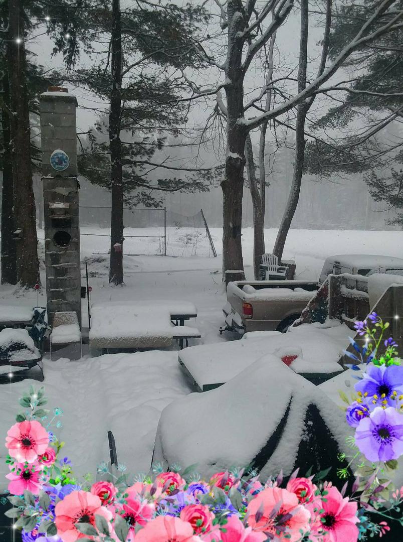 I'm sick of snow!