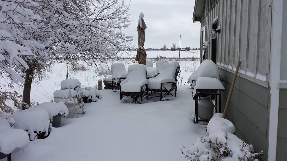 Guess we won't be having thanksgiving dinner on the patio today! Lol