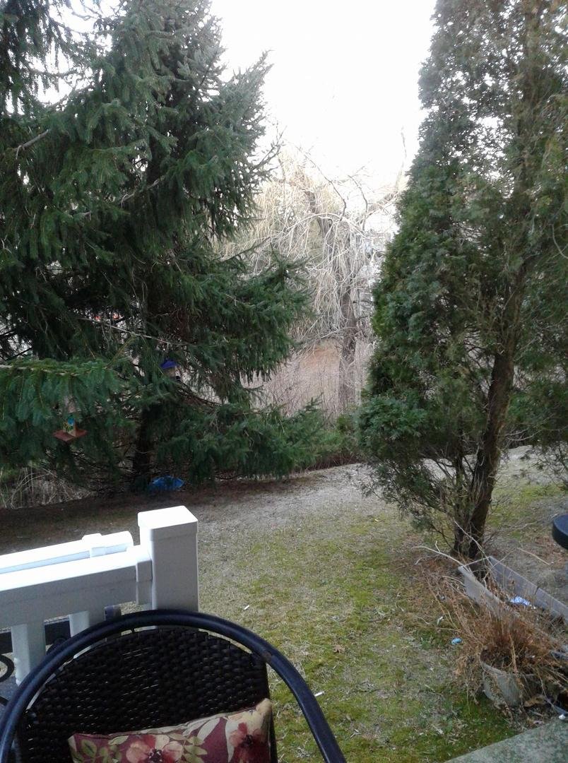 Can't wait for spring