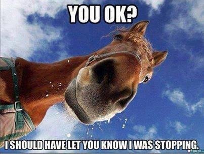 Kathy Plant's album, Timeline Photos