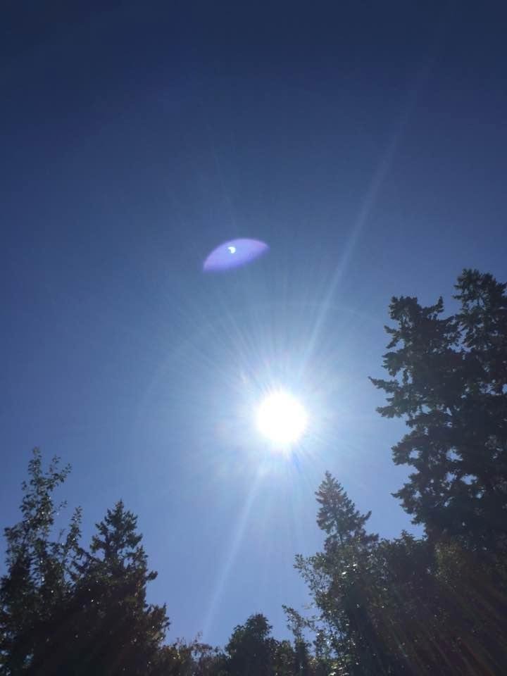 Flying saucer observed eclipse!