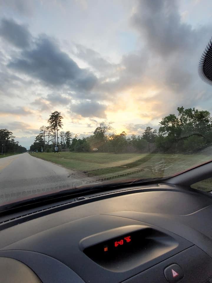 Lorrie Tidwell's album, Mobile Uploads