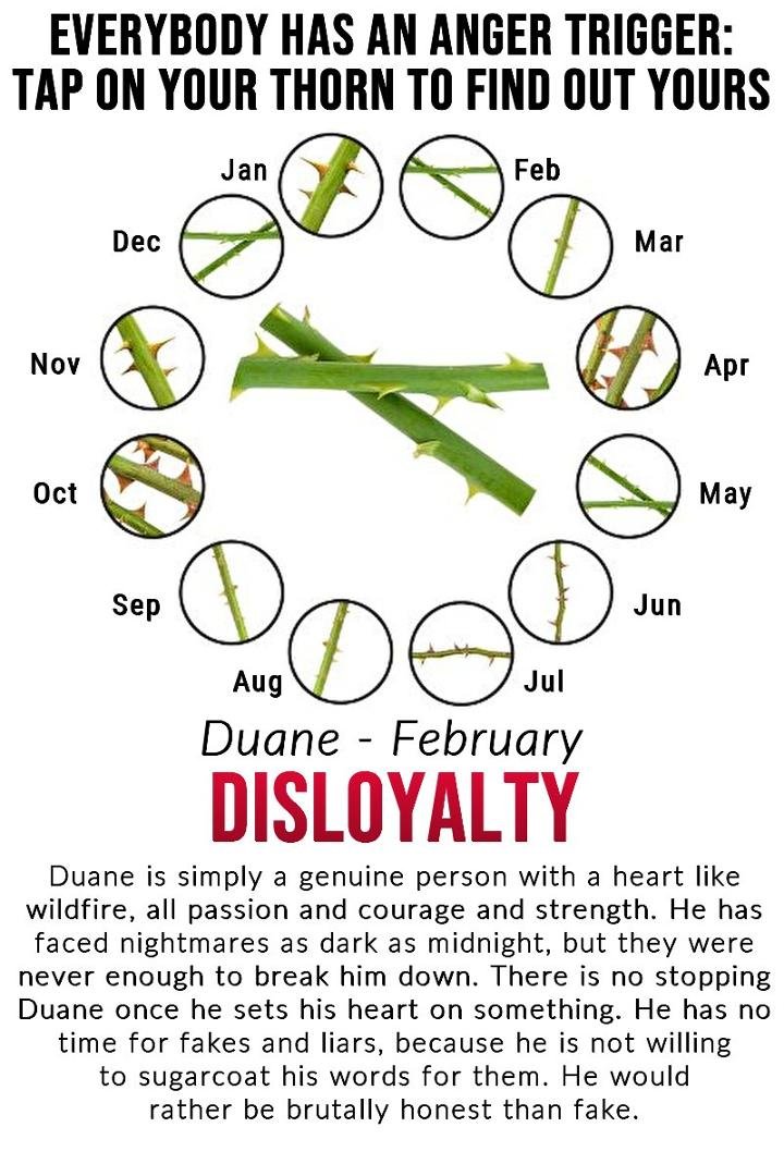 Duane Mandy's album, Timeline Photos