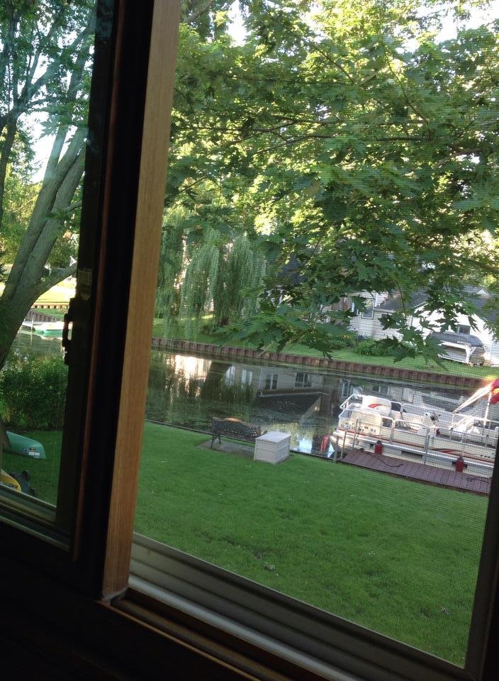 When I wake up early, I sit in my comfy, bedroom chair (next to the window) and have to be reminded I do not really live in a tree house.