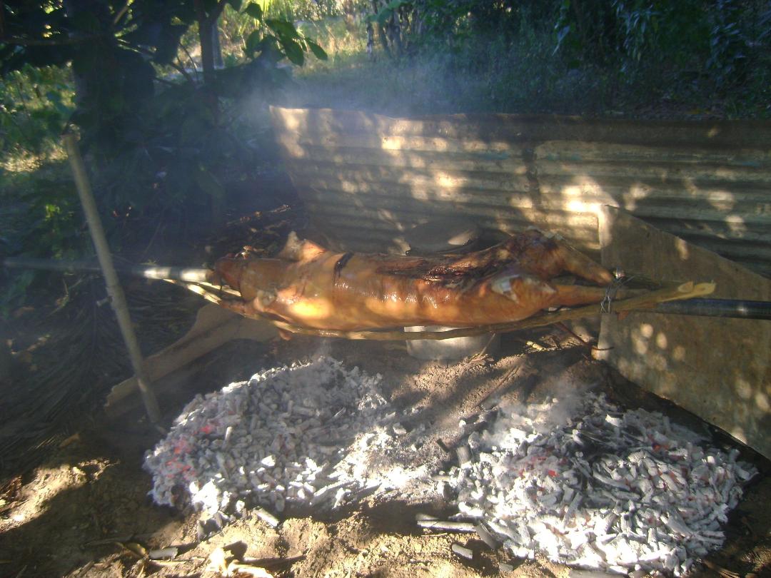 Cuban Fiesta