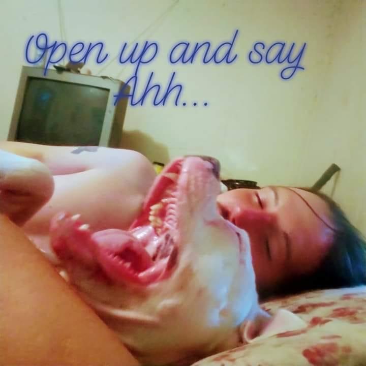 Jennifer Chatom's album, Mobile uploads
