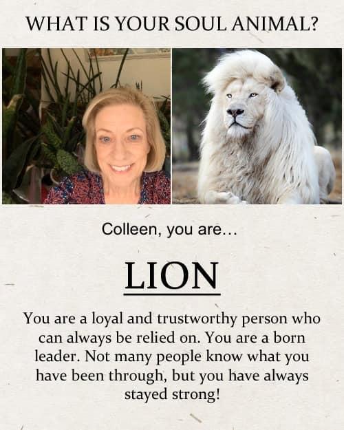 Colleen Mounsey's album, Timeline photos