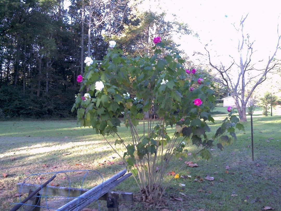 Peter Schwab's album, Timeline Photos