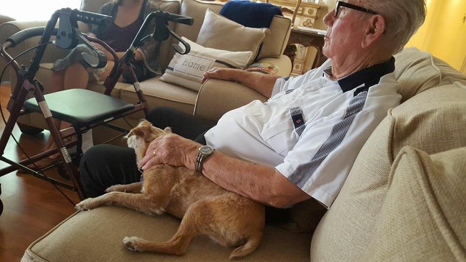 My sister, Jeanie, owns an Assisted Living Home in San Diego. Our dog Piper is the sweetest puppy dog ever, but I was curious how she would do with the elderly. Piper blew me away....she checked out the house and then sta