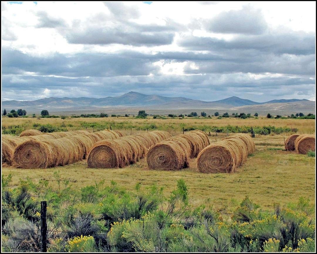 Instead of seeing hay bales, I found hay rolls on my way to Boise, Idaho a few years ago.