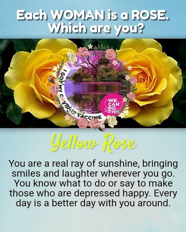 Susan Grandy's album, Timeline photos