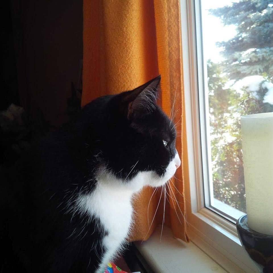 Sigh........No signs of spring yet