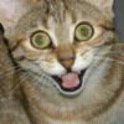 I cant wait for the weekend ! :-)