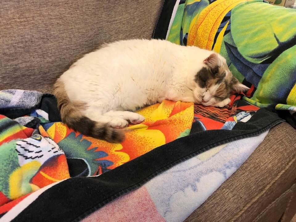 Angelina is preparing for the hurricane
