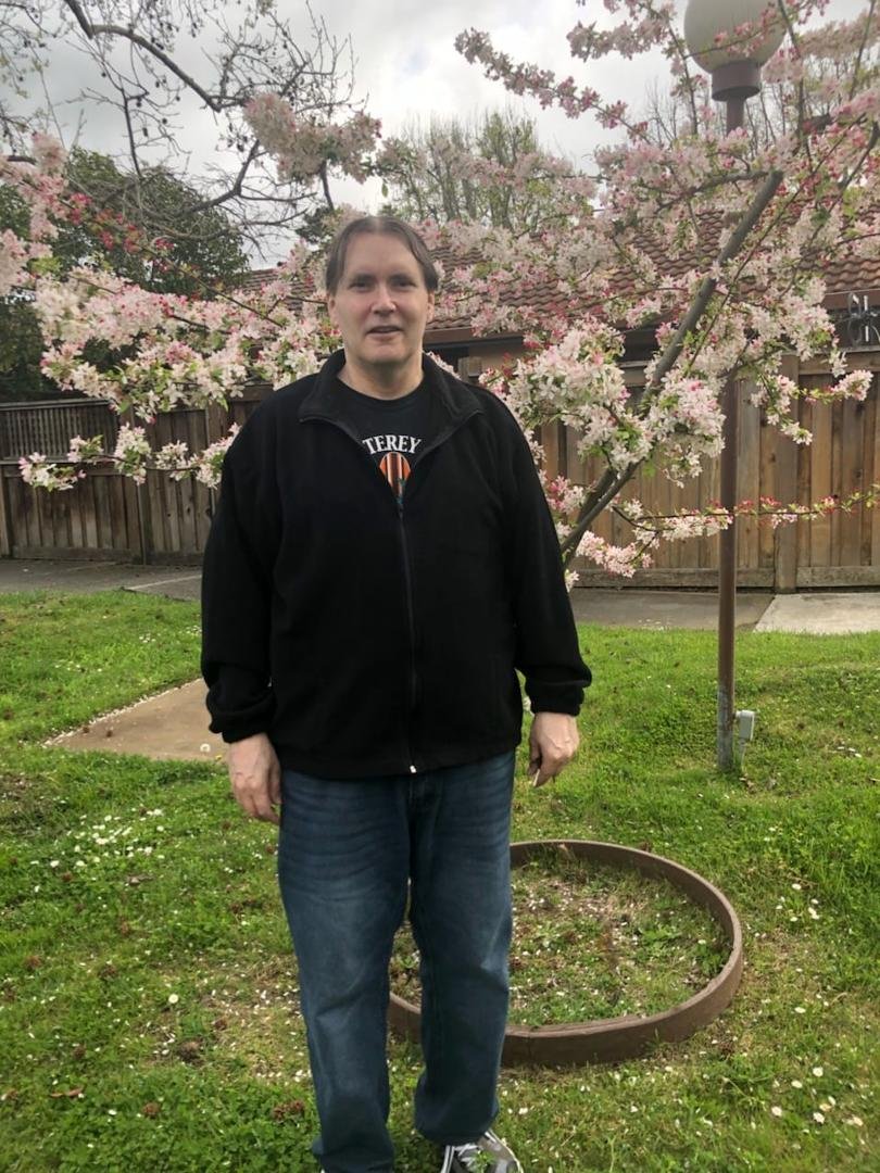 The blossoms are blooming.