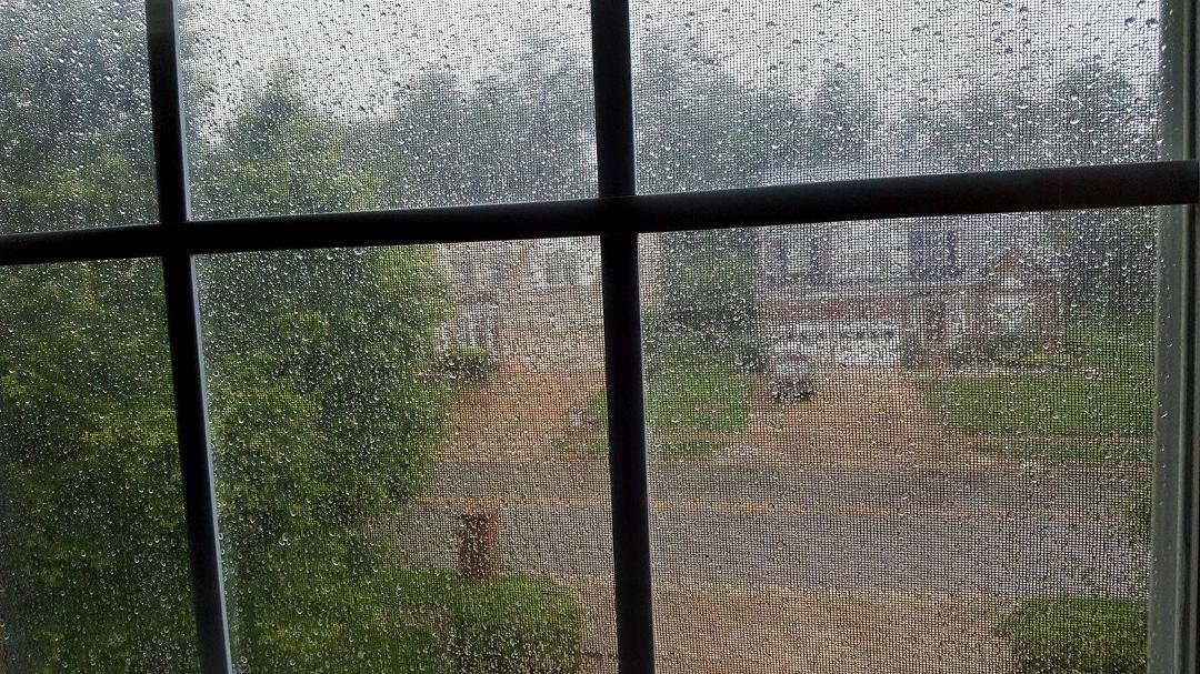 Rainy evening
