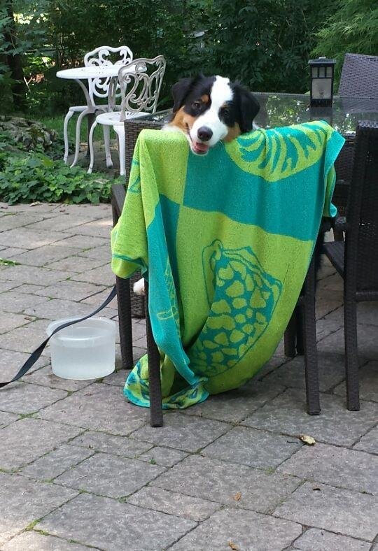 Chillin