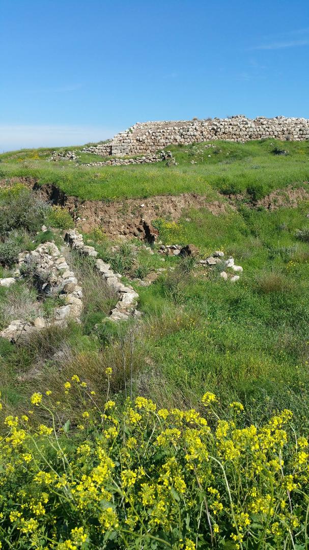 Lakhish National Park. Our guide Moshe Bronstein former Israeli General got us access to an active archeological dig where tourists are not permitted.Moshe was the commander that planned and led rescue of hijacked passe