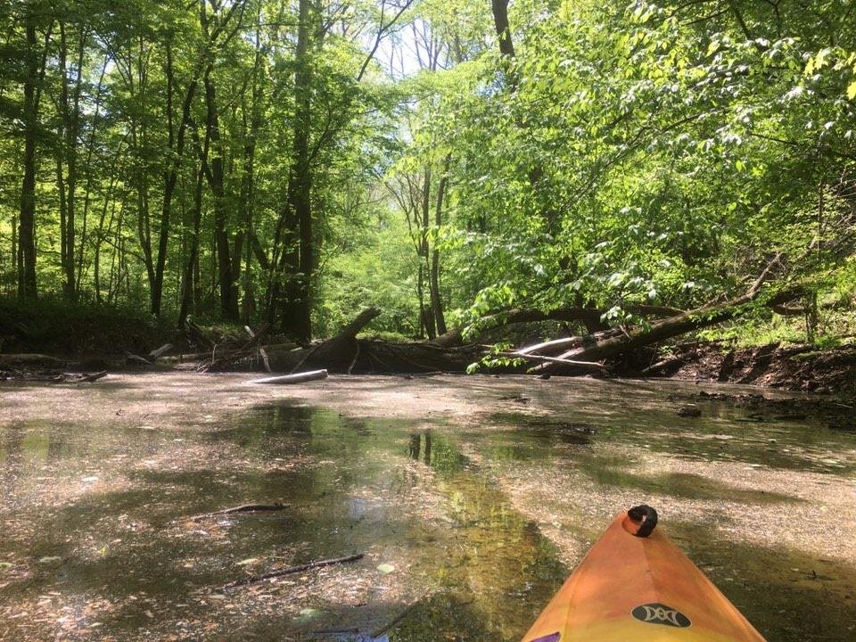 Dead end of this creek.