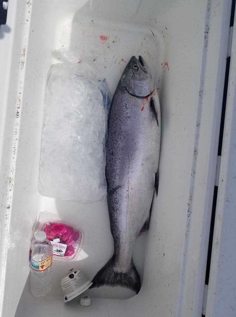 One in the boat