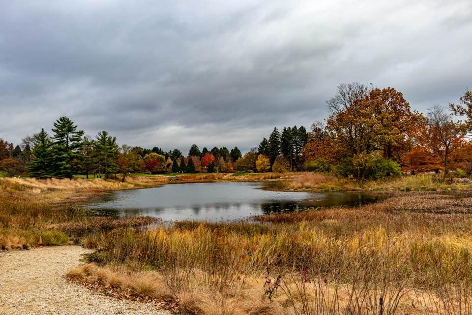 The Morton Arboretum, October 2020.