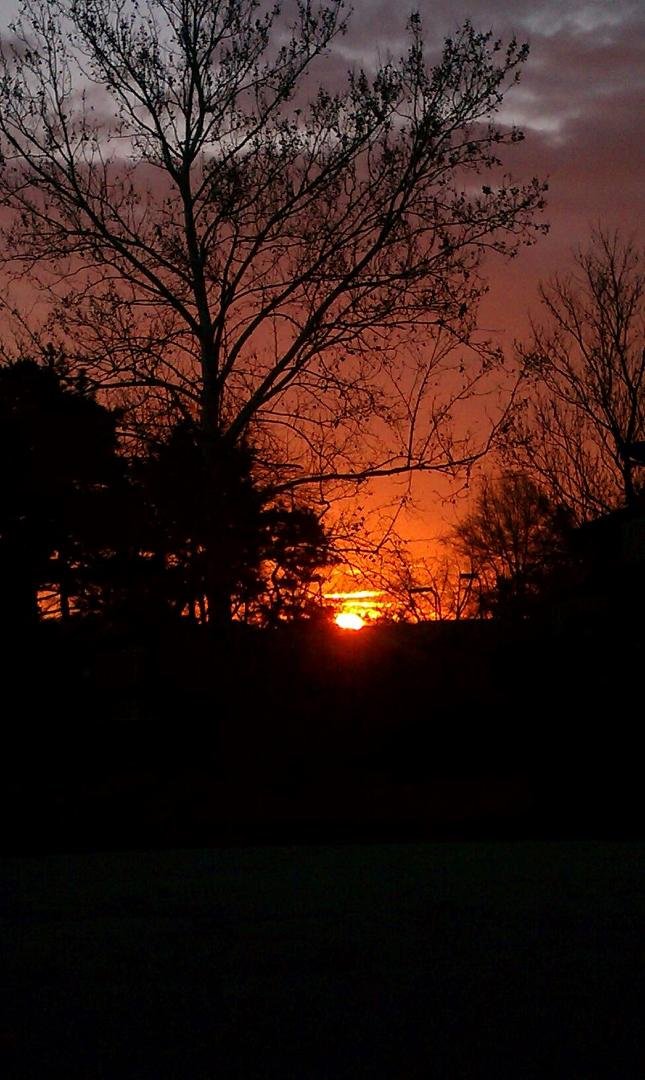 And I've already been WORKING for an hour! Beautiful view over the Lake @ the house in Va Beach.