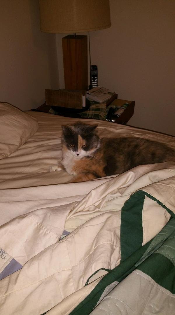 I got out of bed to wash my face, when I came back someone had taken my place. (Think "Cecilia " by Paul Simon.)