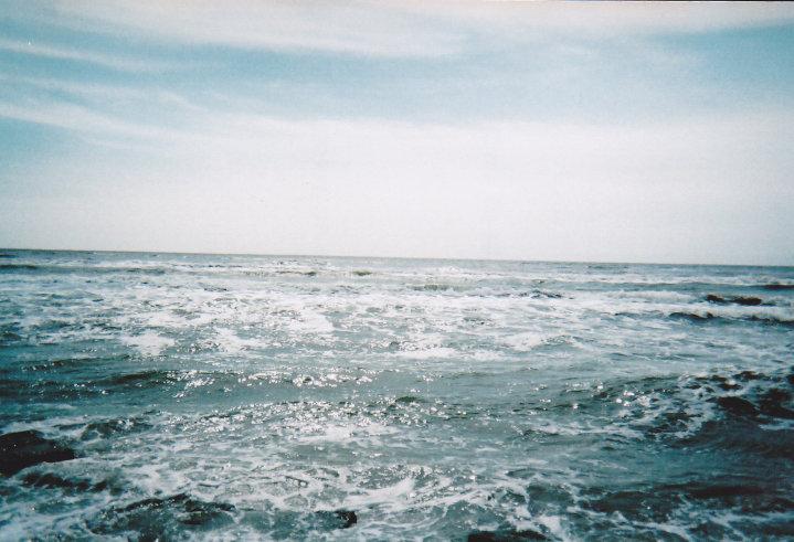 Jason Windham's album, my pics