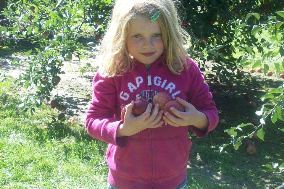 Carl Harrison's album, Apple Picking 2011