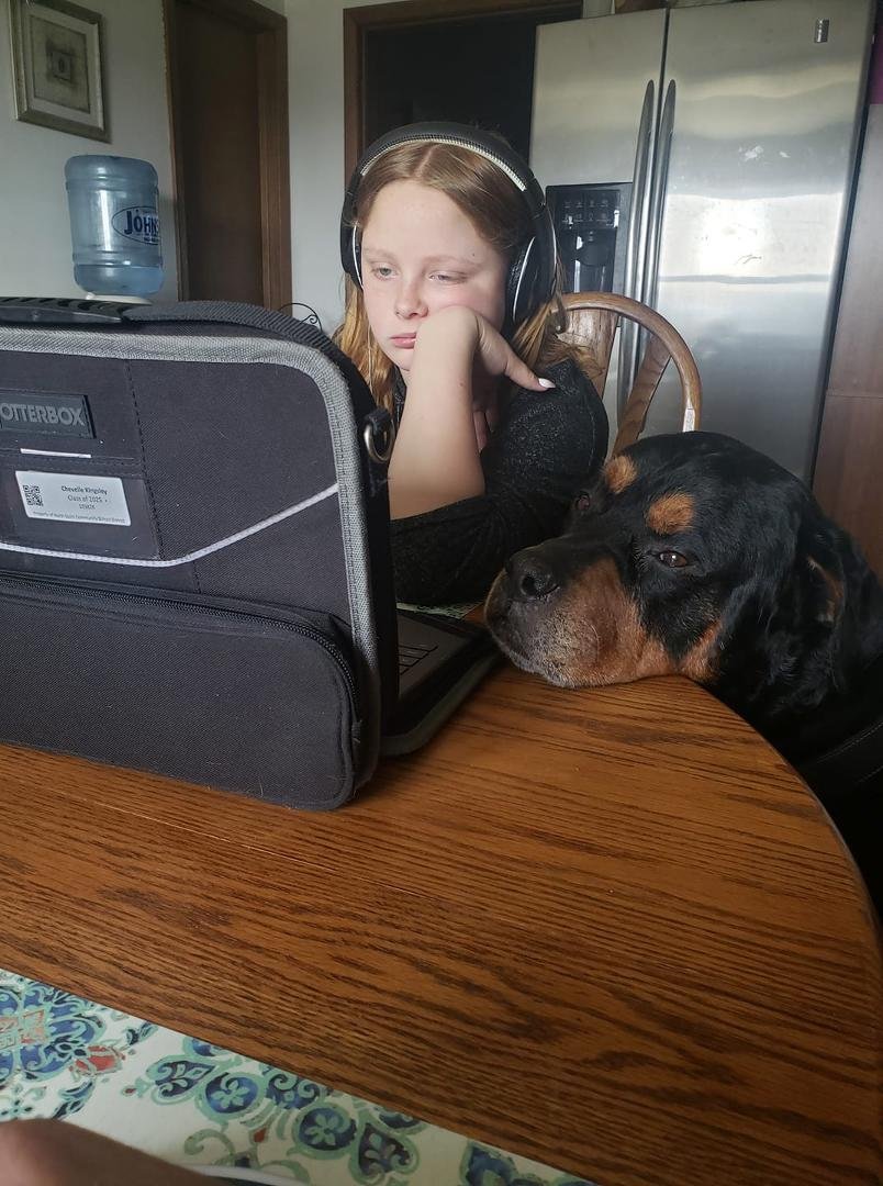 Schools in. Looks like someone needs some help doing her school work.