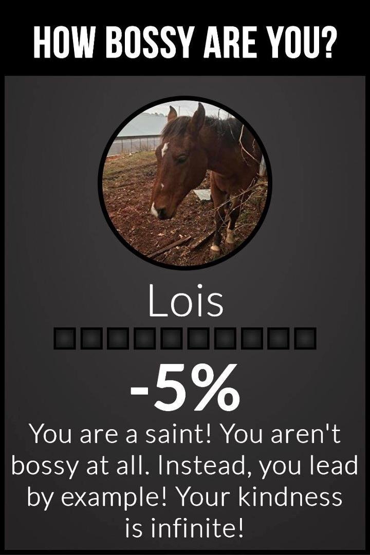 Ok? Most of the time, but then.........