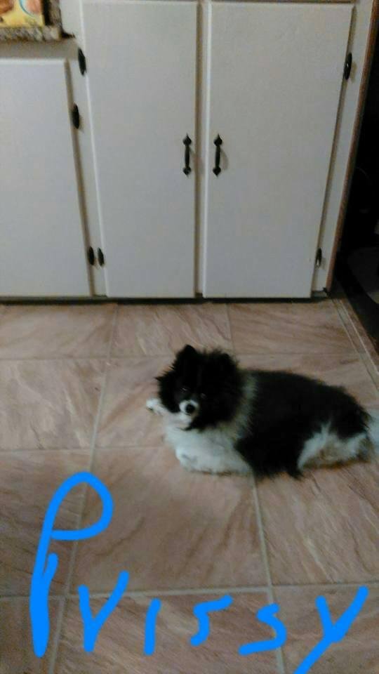 Fermon Brandon's album, Mobile Uploads