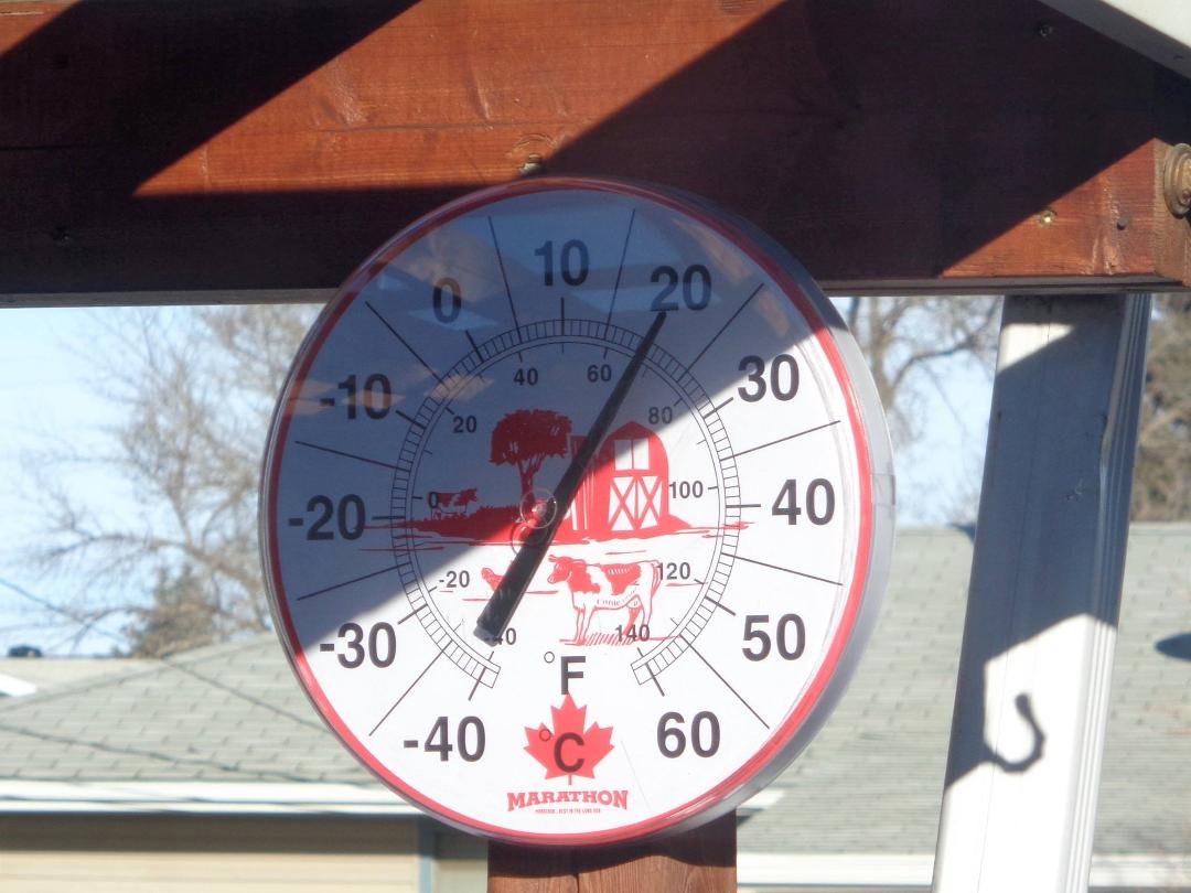 Feb 8 2016 - My back deck at noon.