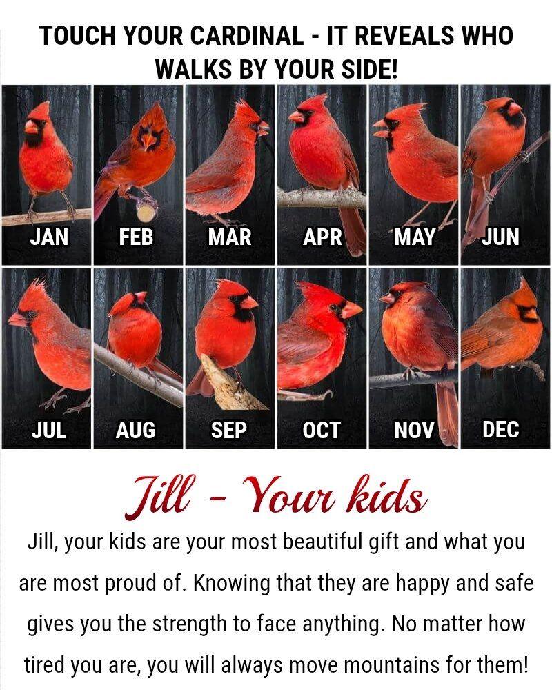 Smith Jill's album, Timeline photos