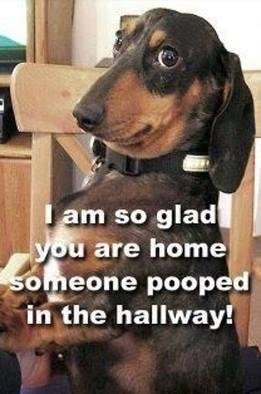 Gary Bryan's album, Timeline Photos