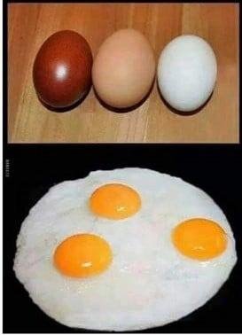 Racism explained for idiots