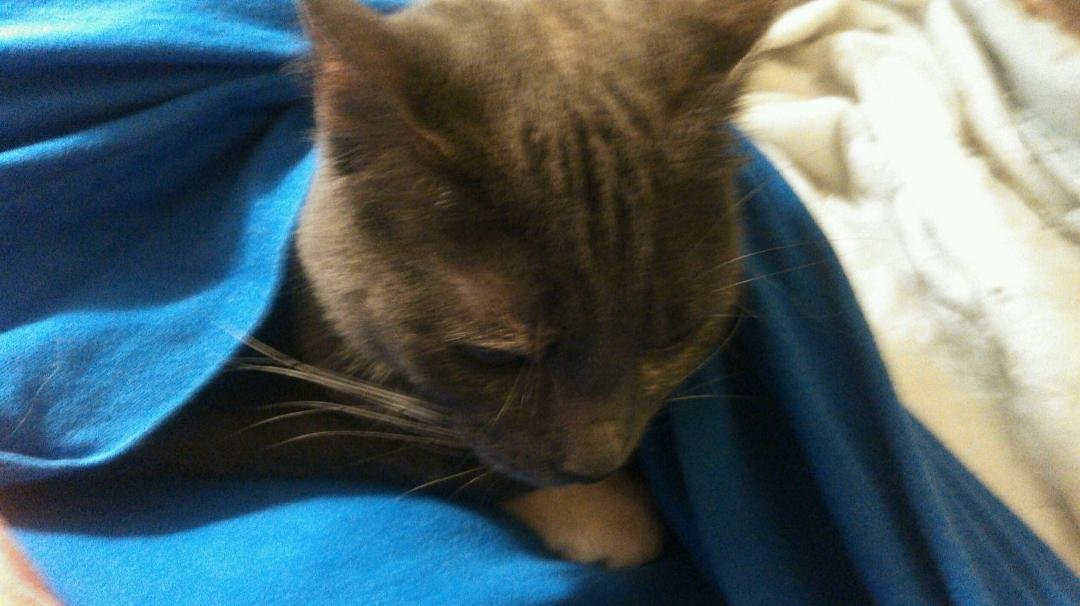 I'm stayin here until it is warm again!