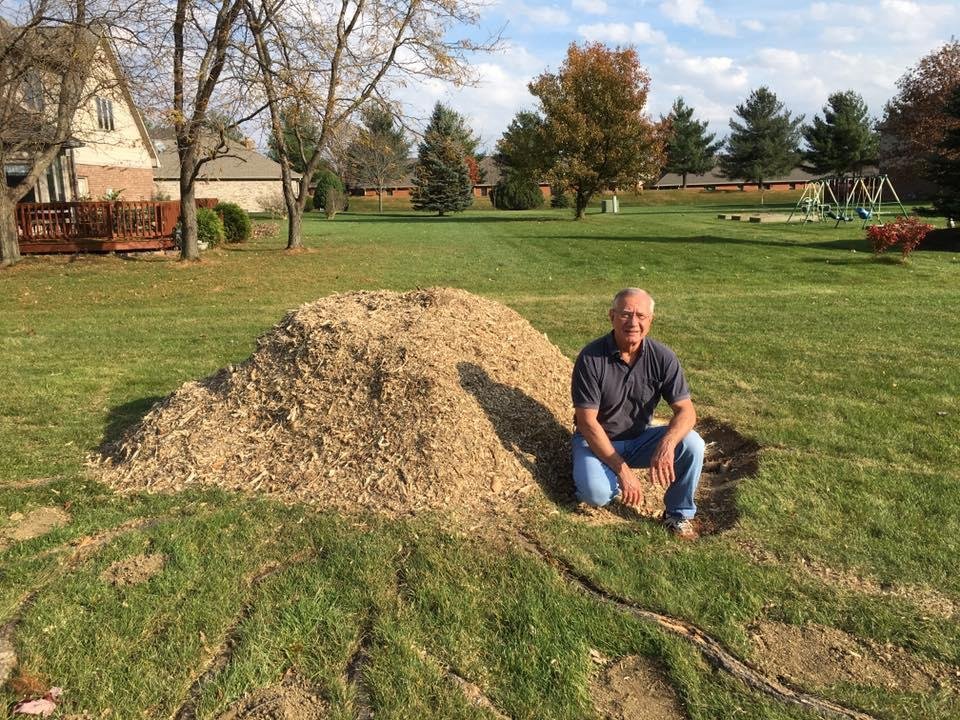 Stump has been ground down with roots next on the list.