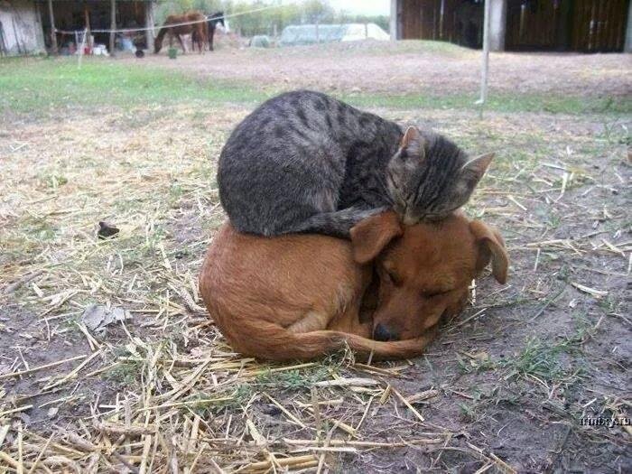 So cute! :-)