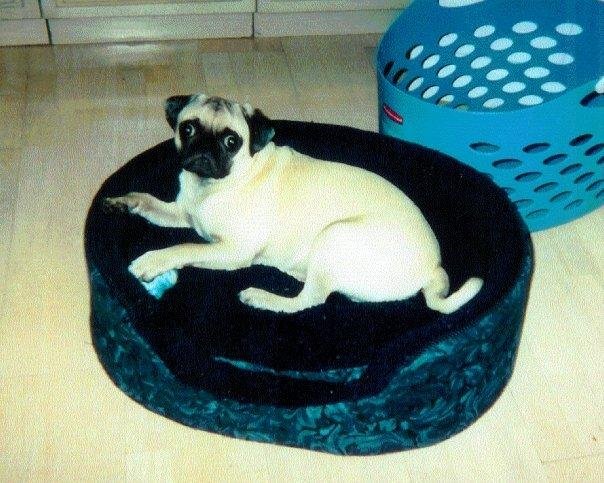 Jack