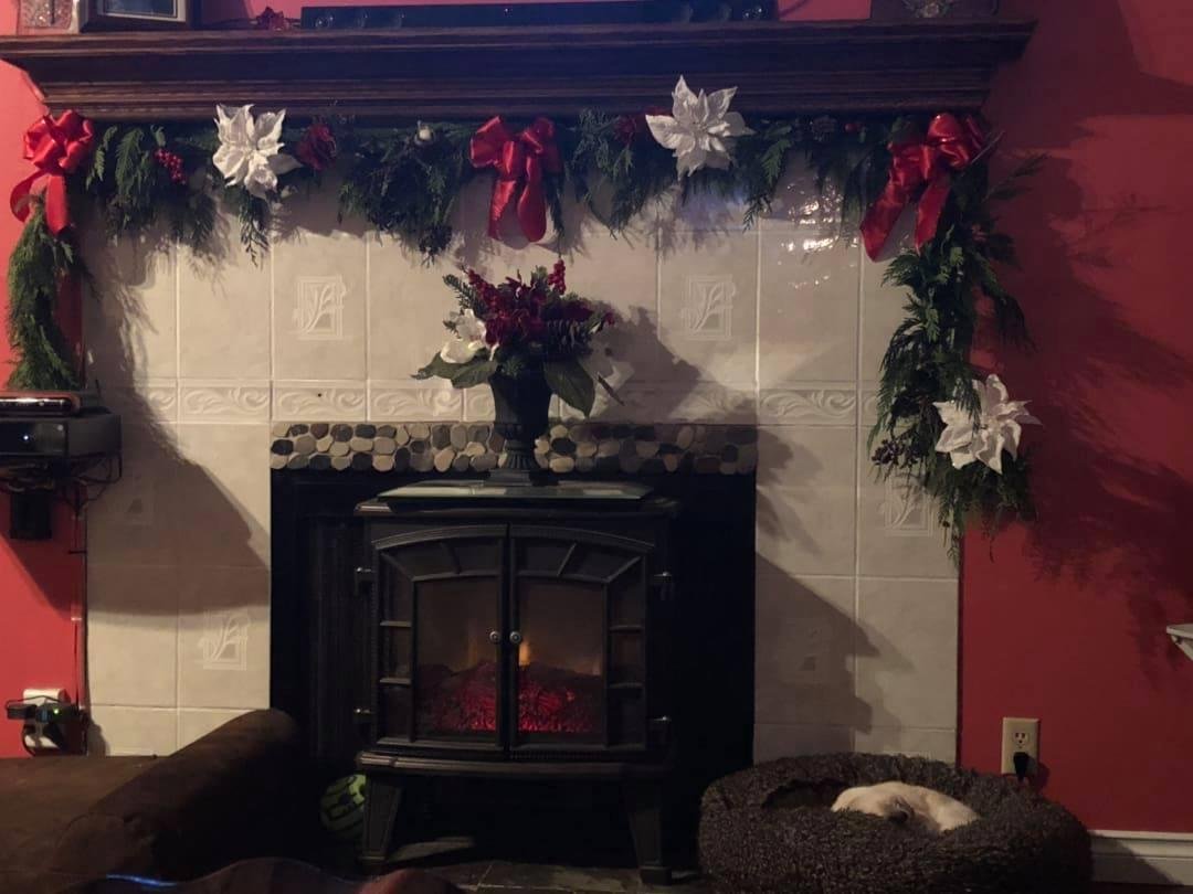 More decorations going up. Lucy is crashed in Olivia’s bed by the fire.😊