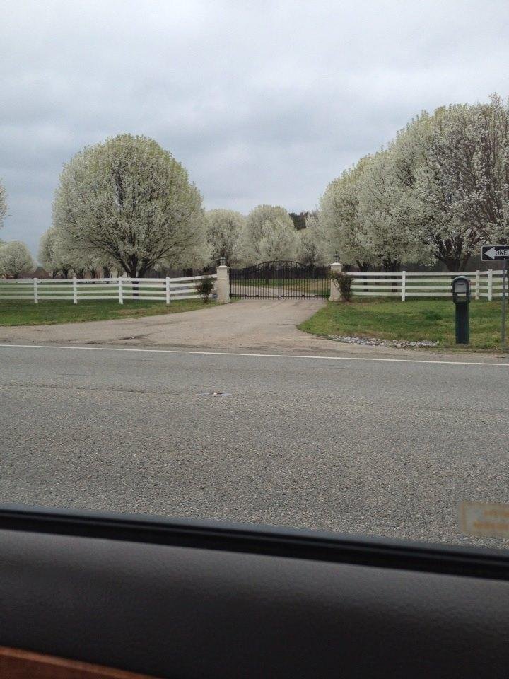 Not my driveway, but can wish.