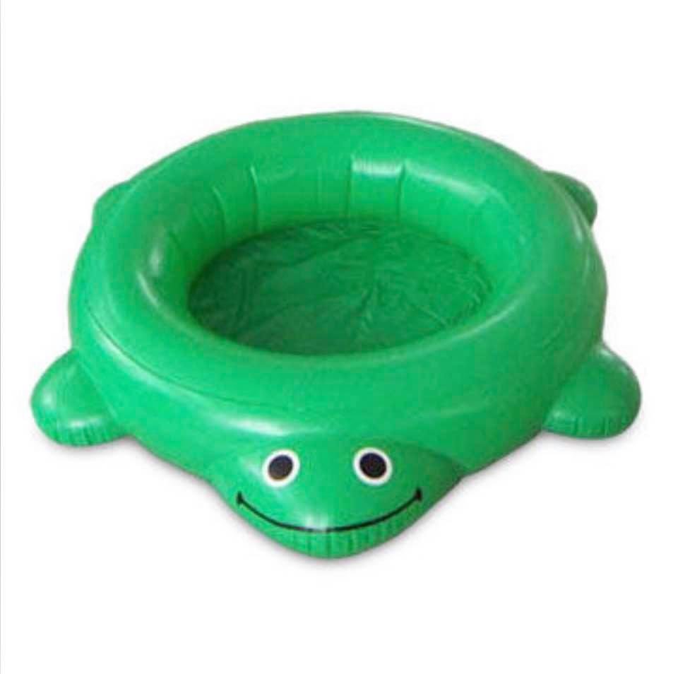 Lost in Tornado brand new 10 year old unground turtle pool. Reward paid by the person that finds it.sentimental value Help bring back pool party