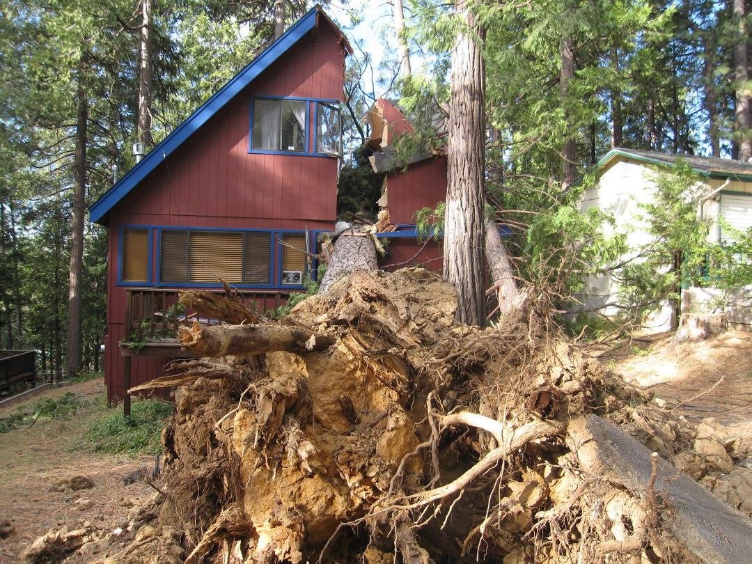 Bad day for neighbor