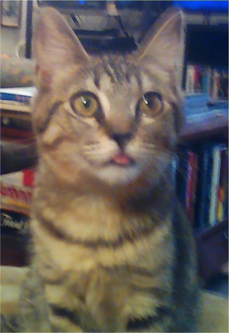 Buster defies you and all your human bullshit.