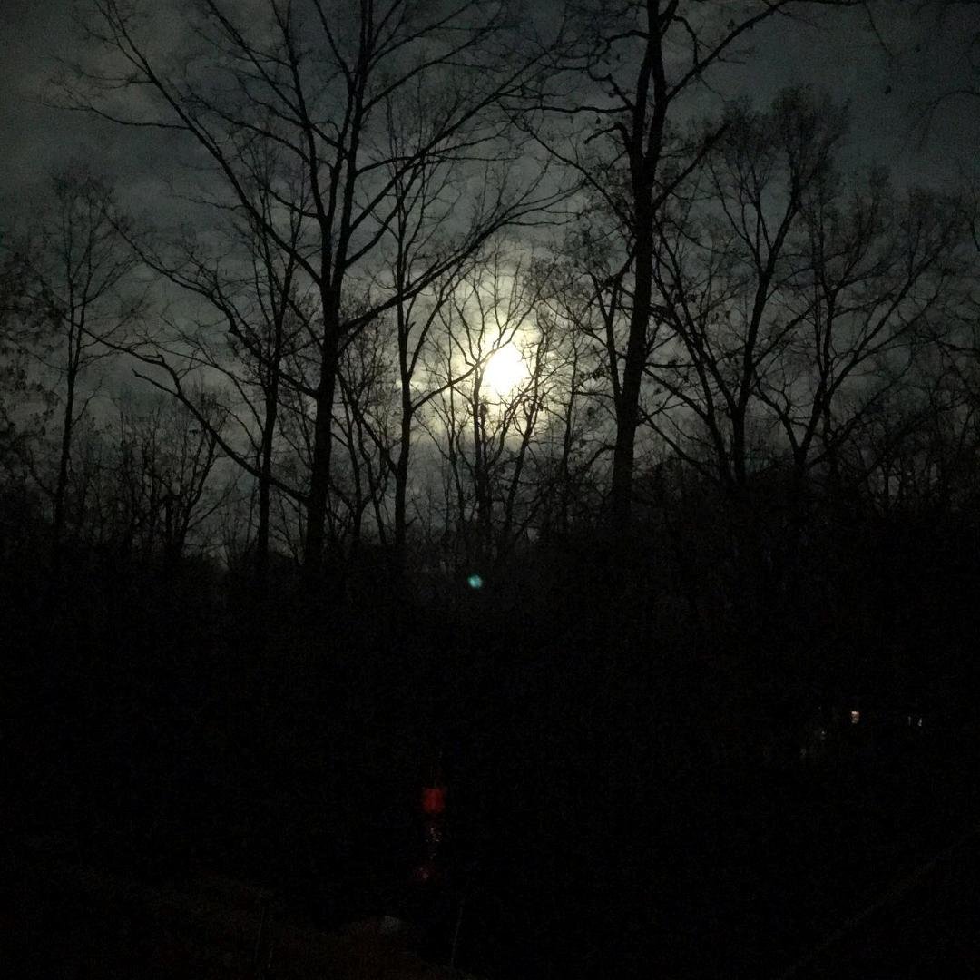 Jan Litke's album, Timeline Photos